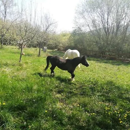 アパート Bar Sur Mulhouse Sud *