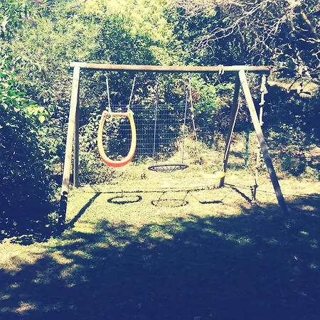 Bar Sur Mulhouse Sud *