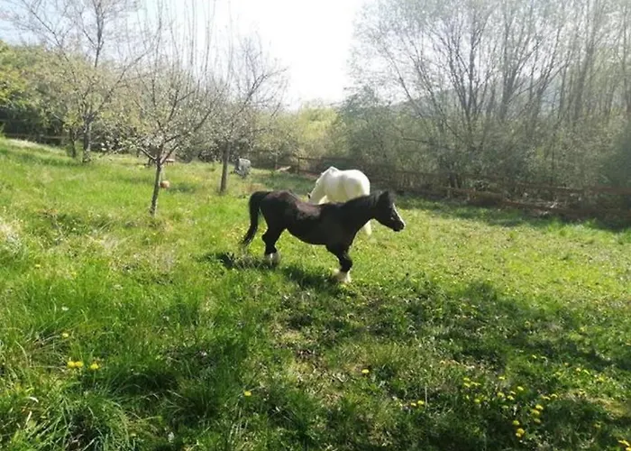 Apartman Bar Sur Mulhouse Sud *